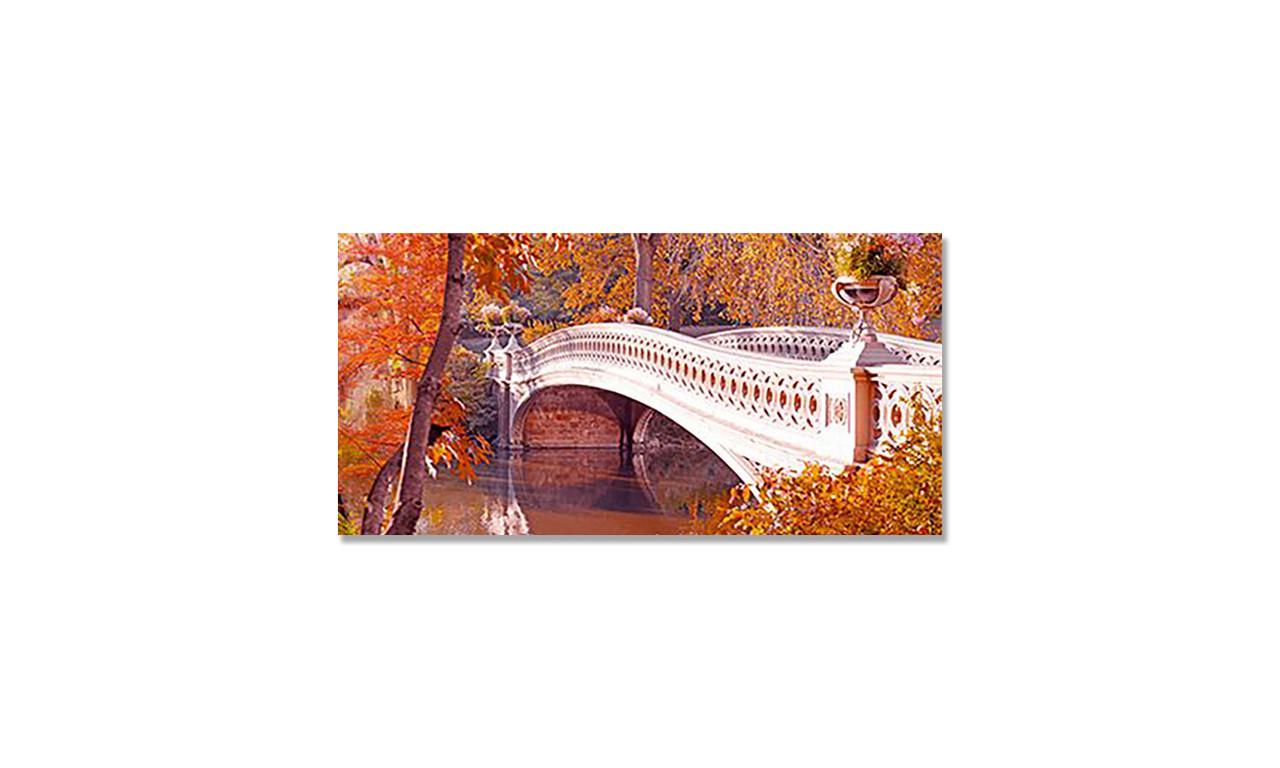 Наклейка виниловая на стол Zatarga Осенний Лес 600х1200 мм (1271805797)