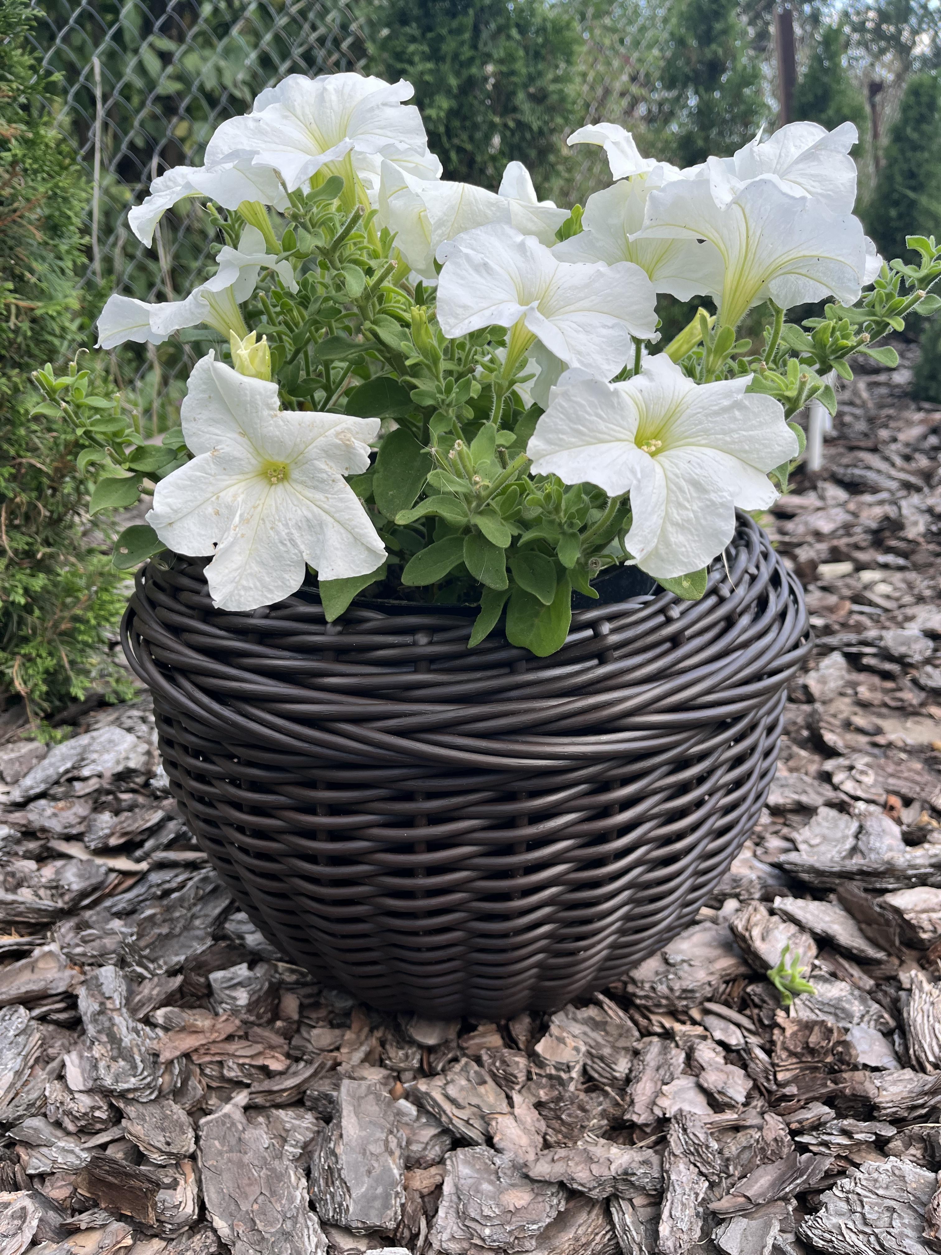 Кашпо для цветов из искусственного ротанга 13 л Венге (28123055) - фото 2 Кашпо для цветов из искусственного ротанга 13 л Венге (28123055) - фото 2