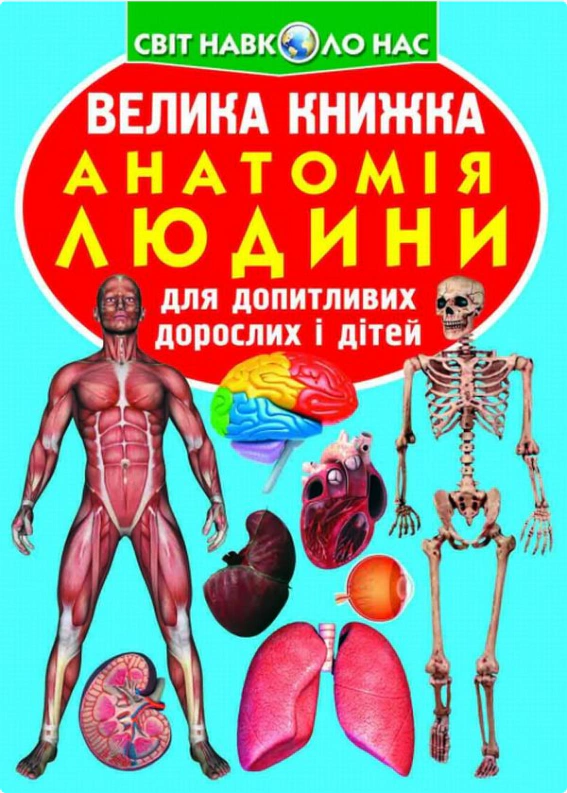 Книга Олег Завязкин "Большая книга. Анатомия человека" 9789669361974