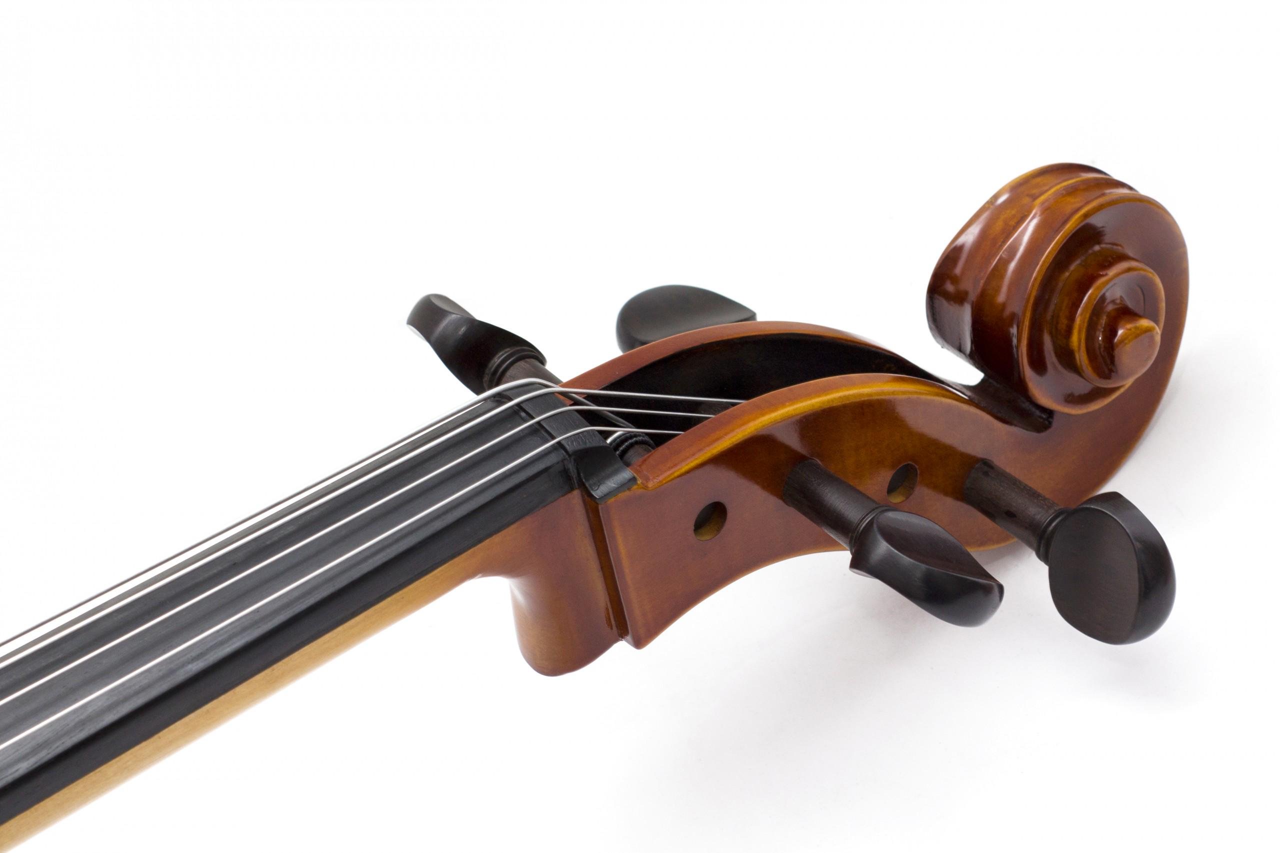 Віолончель Prima 200 4/4 комплект (125627) - фото 6