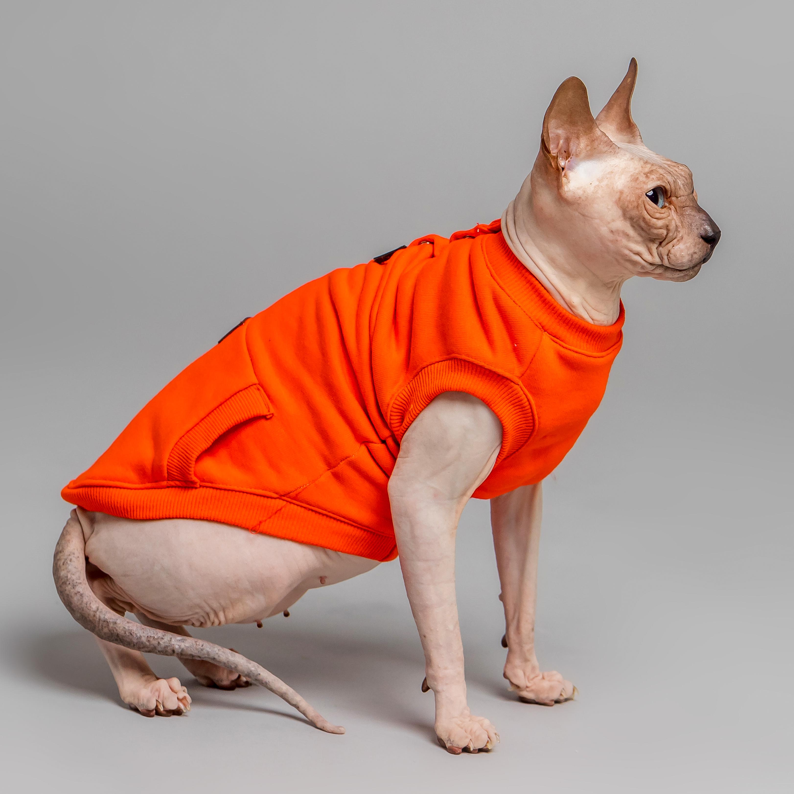 Майка спортивна для котів Style Pets TVIXI XL Orange (475XL)