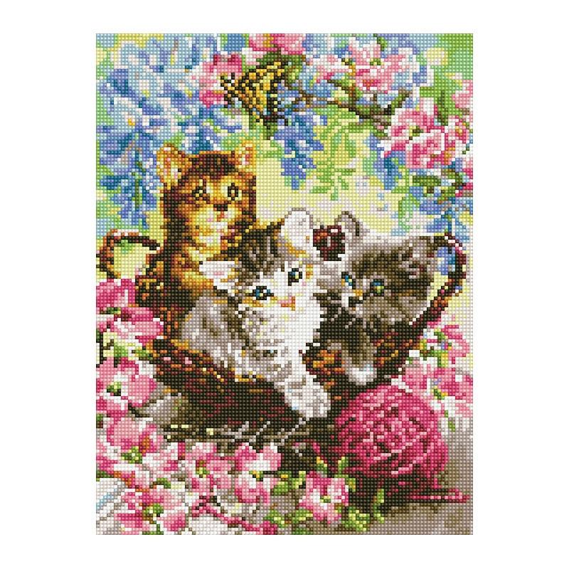 Алмазная мозаика Rainbow Art Игривые котята 40х30 см (EJ1369)
