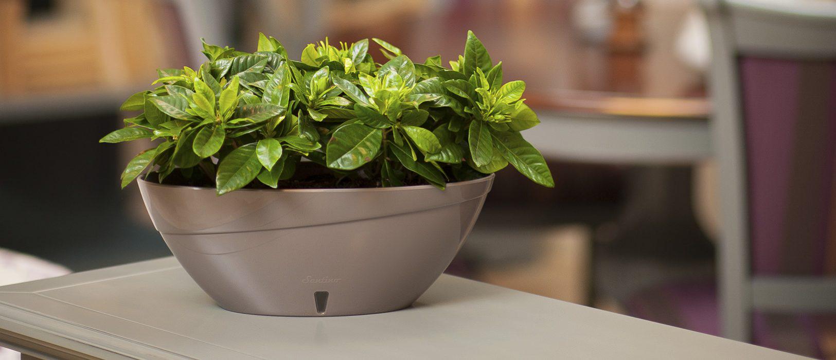 Горшок для цветов CALIPSO 2 л Шаде/Белый - фото 2