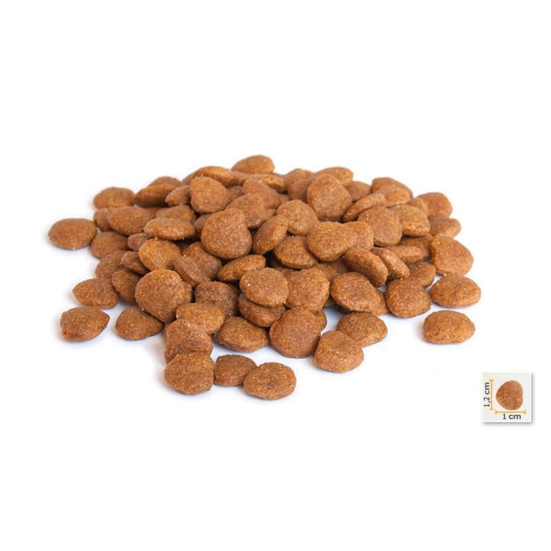 Корм сухий для дорослих собак усіх порід BonaCibo Dog Chicken&Rice with Anchovy з м'ясом курки 4 кг (BC406113) - фото 2