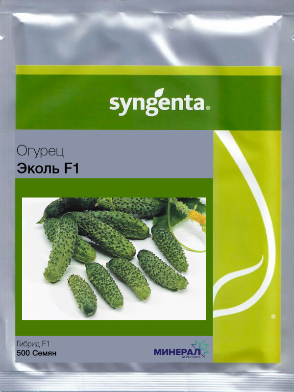 Насіння огірків Еколь F1 Syngenta 10 шт. (1746868818) - фото 3