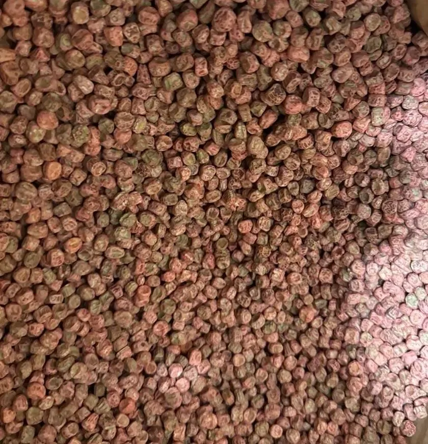 Семена Syngenta гороха овощного Сомервуд 1 кг (1943) Семена Syngenta гороха овощного Сомервуд 1 кг (1943)