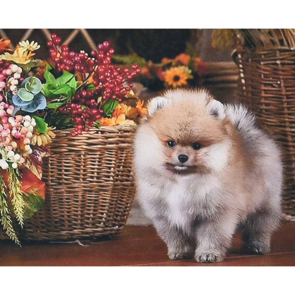 Алмазна мозаїка Strateg Песик біля кошика 30х40 см Різнокольоровий (VM-127-A-225)