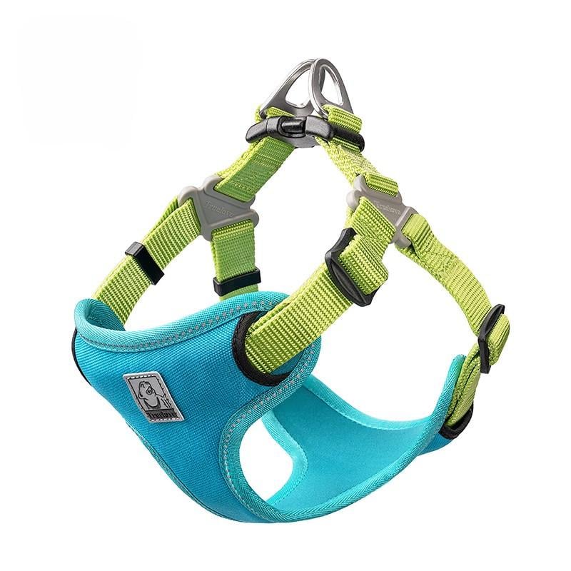 Шлея для собак Truelove TLH5951 светоотражающая с мягкой подкладкой регулируемая M Голубой
