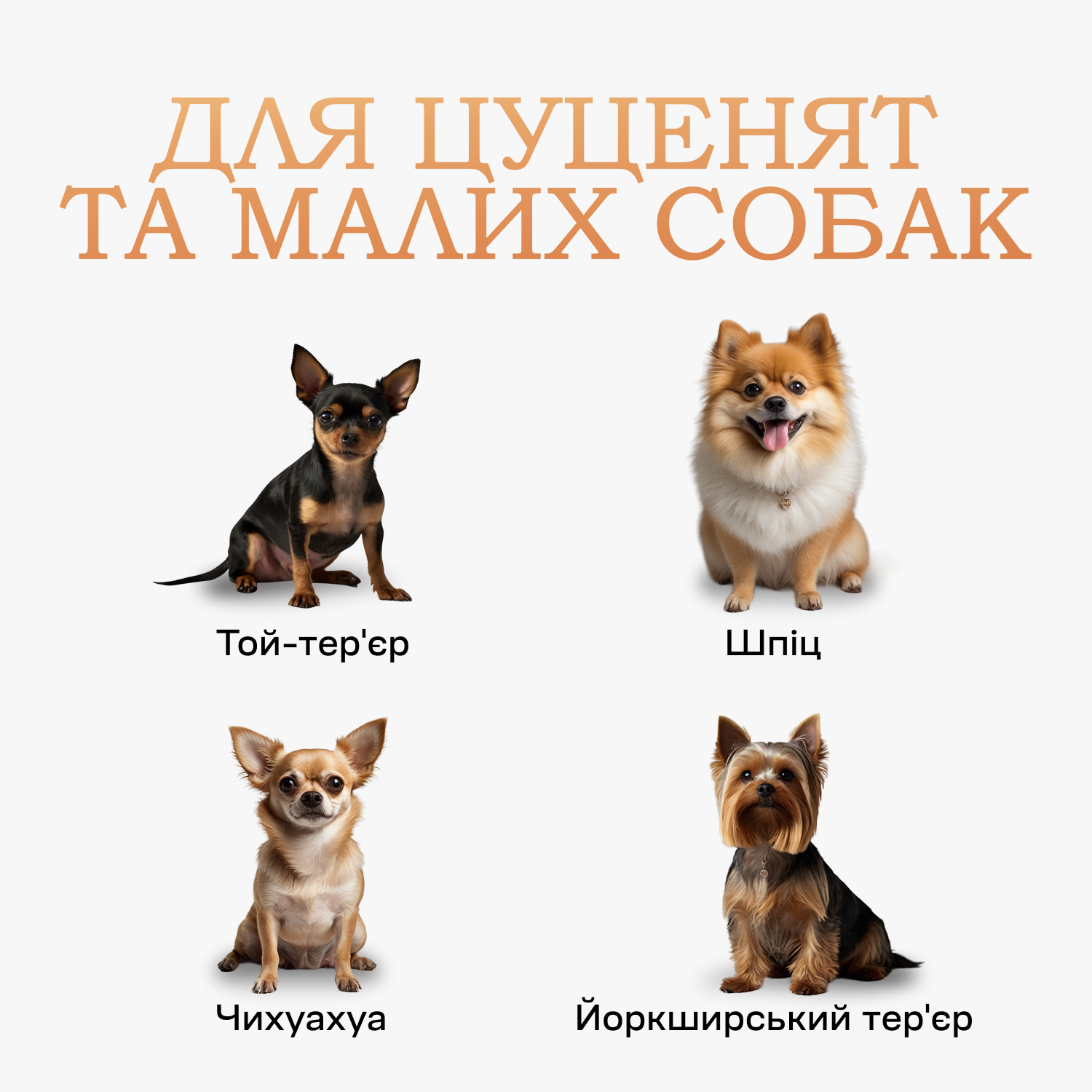 Туалет для собак під пелюшку 40х60 см Сірий - фото 4 Туалет для собак під пелюшку 40х60 см Сірий - фото 4