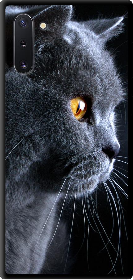 Чехол на Samsung Galaxy Note 10 Красивый кот (3038b-1718-42517)