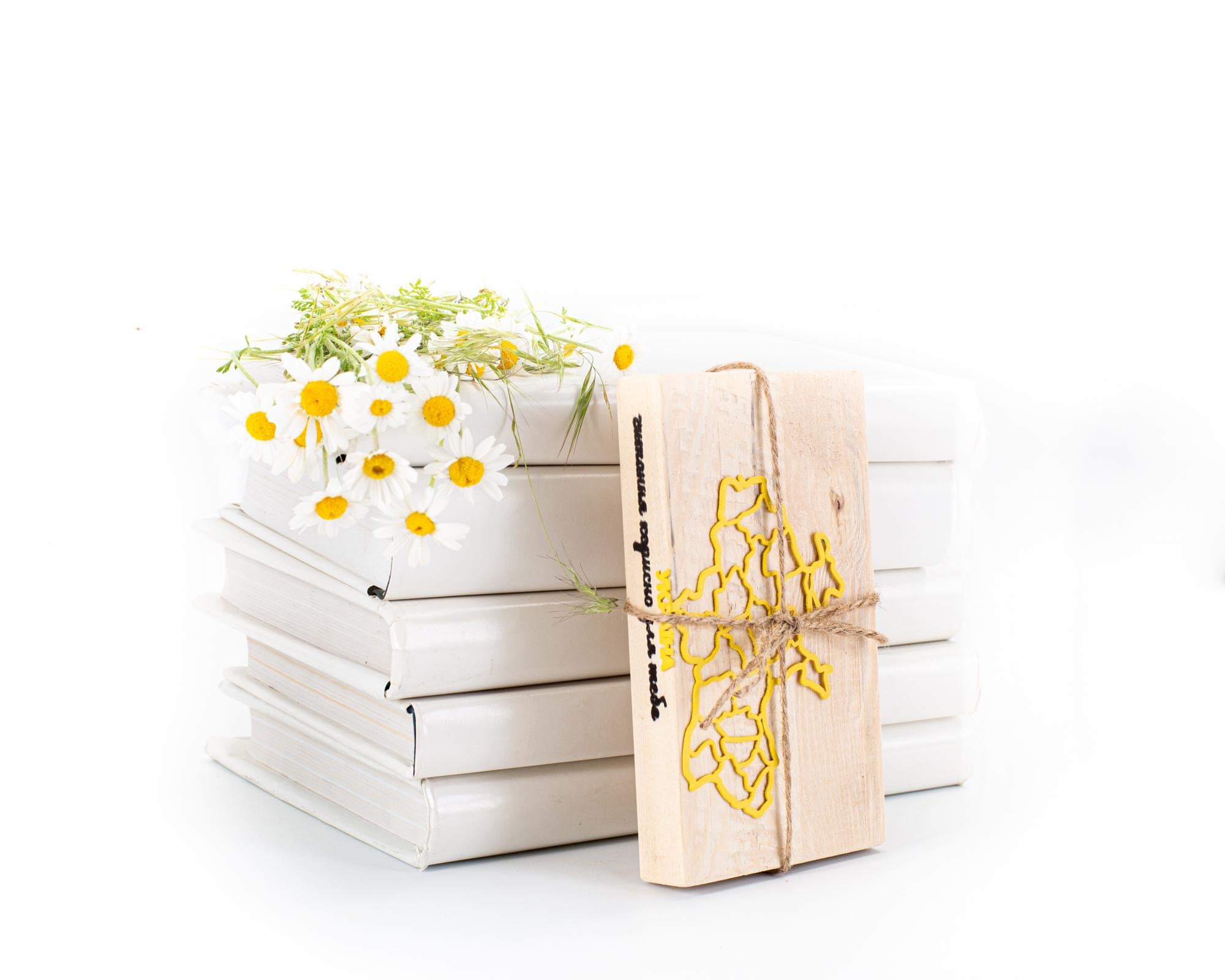 Закладка для книг Україна (sp6-20652043797110211)