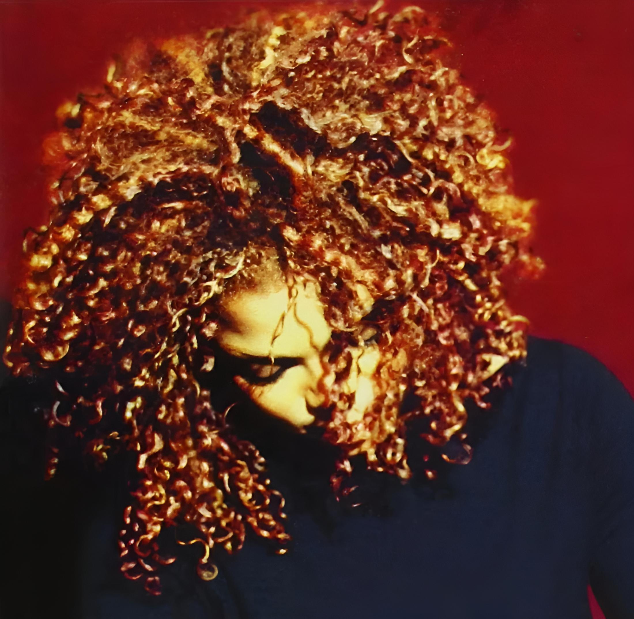 Виниловая пластинка Janet Jackson - The Velvet Rope 2LP (23280942)