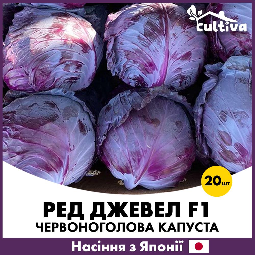 Семена капусты Sakata Красноголовая Ред Джевел F1 20 шт. (R51052)