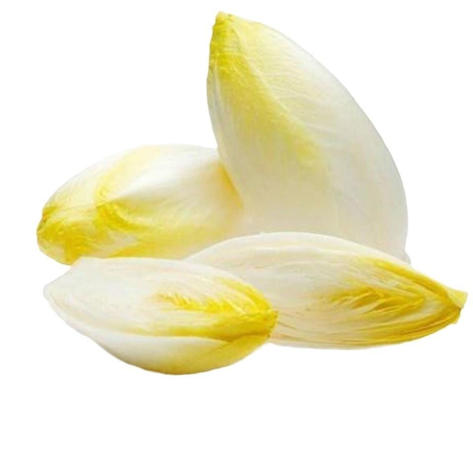 Насіння салат Цикорій Вітлуф 200 шт. (2658598394)