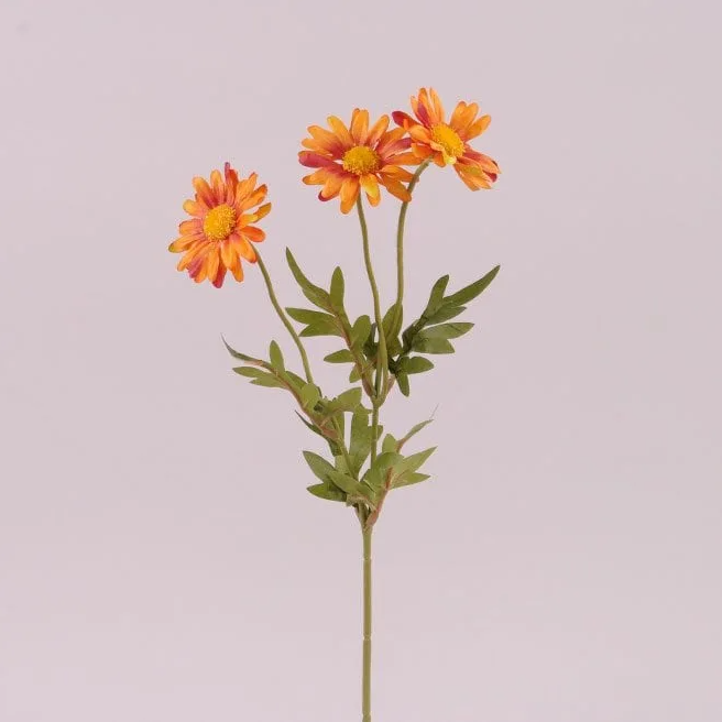 Цветок Маргаритка Flora Терракотовый (72916)