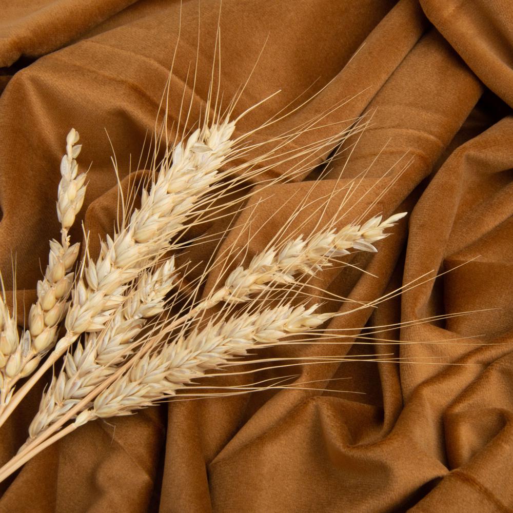 Тканина велюр однотонний Вайлет 290 гр/м2 150 см Кемел (26877) - фото 2