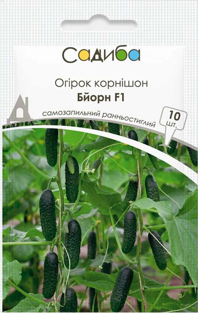 Семена Огурец Садиба центр Бьорн F1 10 шт. (1837)