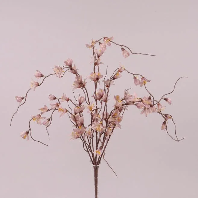 Букет Flora Форзиции Кремово-фиолетовый (73004)