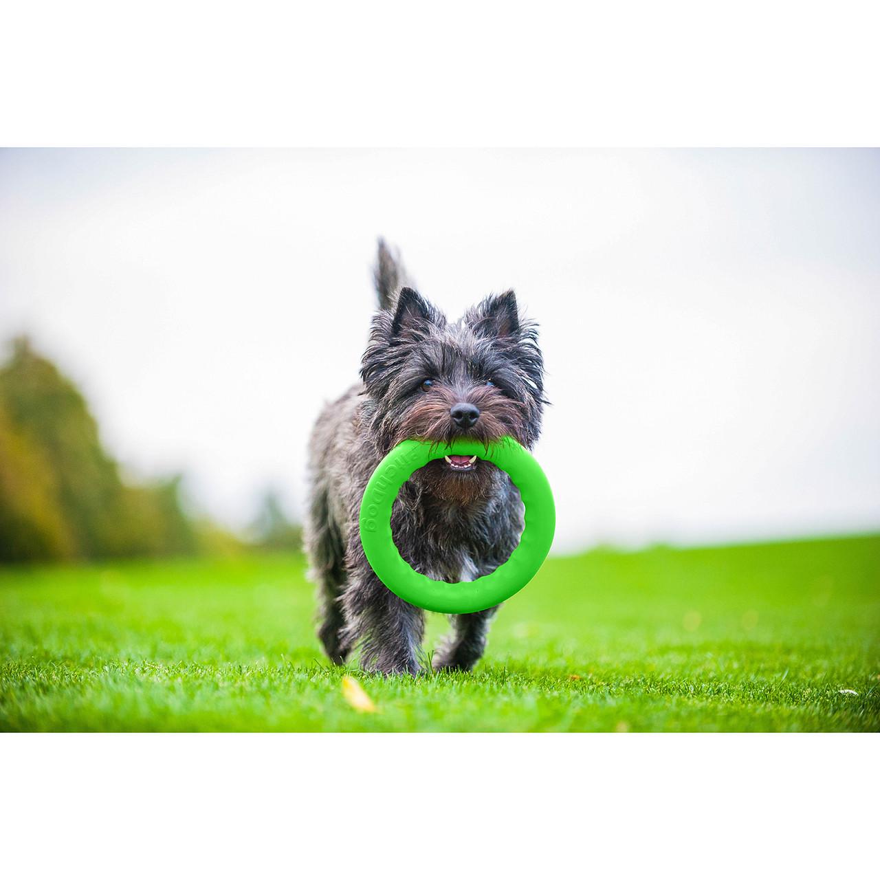 Игрушка для собак PitchDog 20 см Зеленый (62375) - фото 7