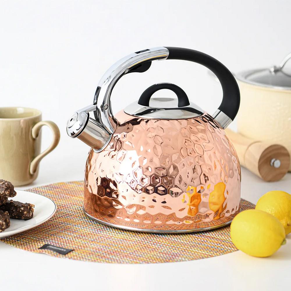 Чайник Fissman Nicole 2,5 л (5966) - фото 5