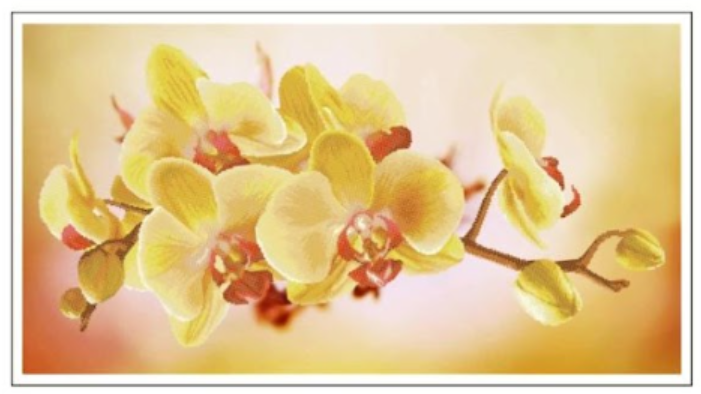 Схема для вишивки бісером Золота Підкова Орхідея ЗПК-016