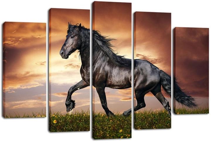 Картина модульная на холсте DK Лошадь в поле 80x108 см (PLM5-175)