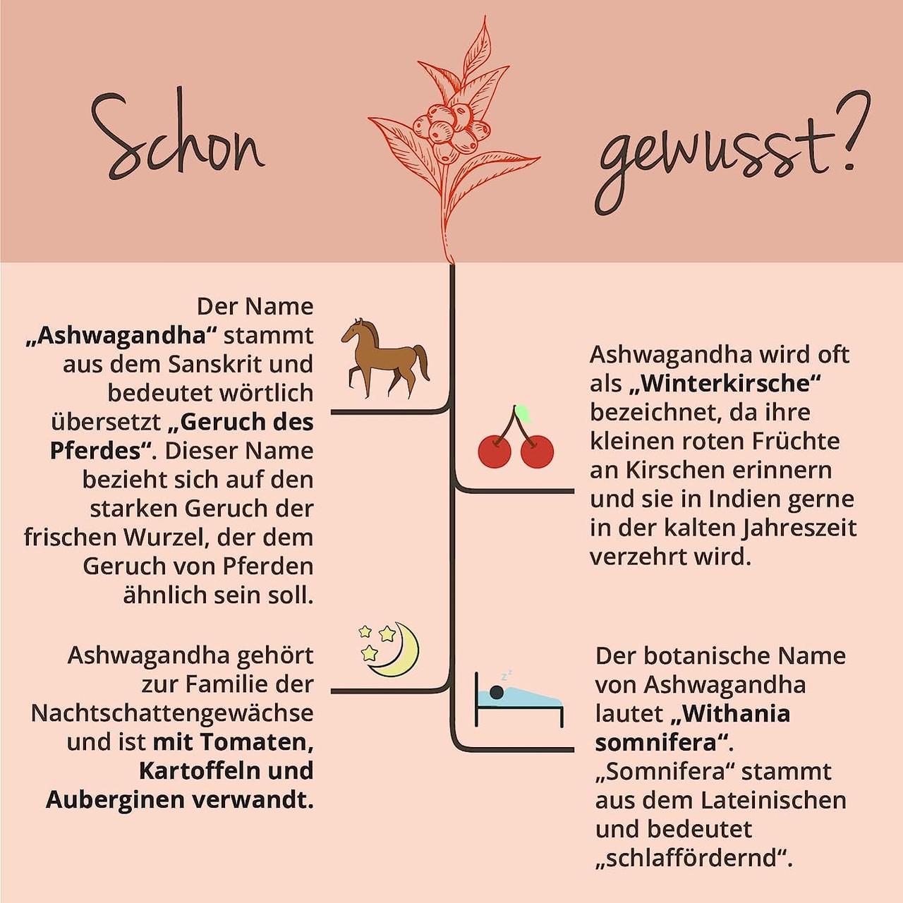 Витамины для иммунитета Vegavero Ашваганда Органическая 600 мг 90 капс. (500942) - фото 3 Витамины для иммунитета Vegavero Ашваганда Органическая 600 мг 90 капс. (500942) - фото 3