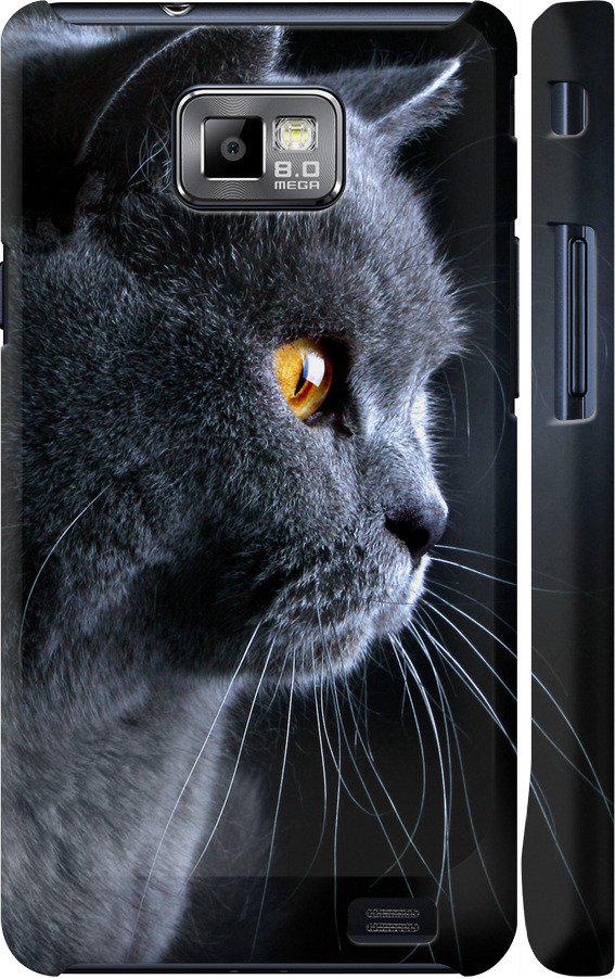 Чехол на Samsung Galaxy S2 Plus i9105 Красивый кот (3038c-71-42517)