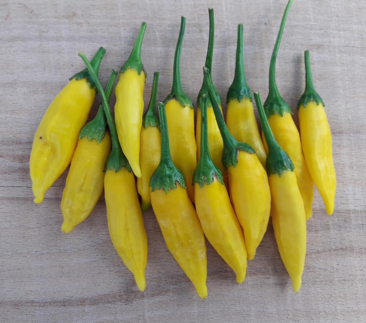 Насіння перець гострий Aji Limo Lemon Drop 5 шт. - фото 3