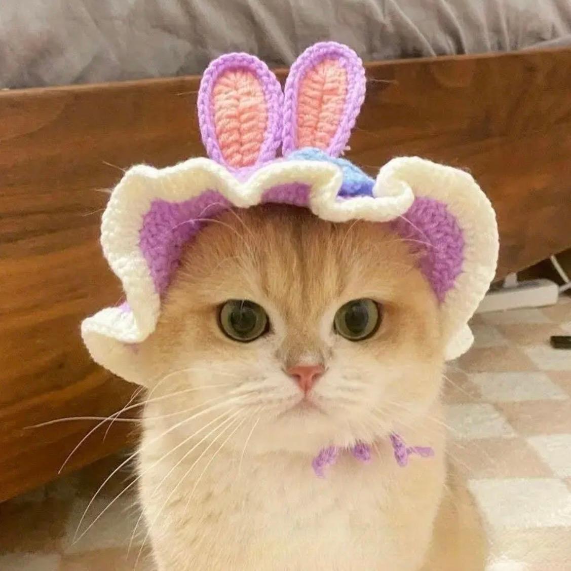 Шапка для кошек и собак Bunny M Purple (565676546) - фото 2