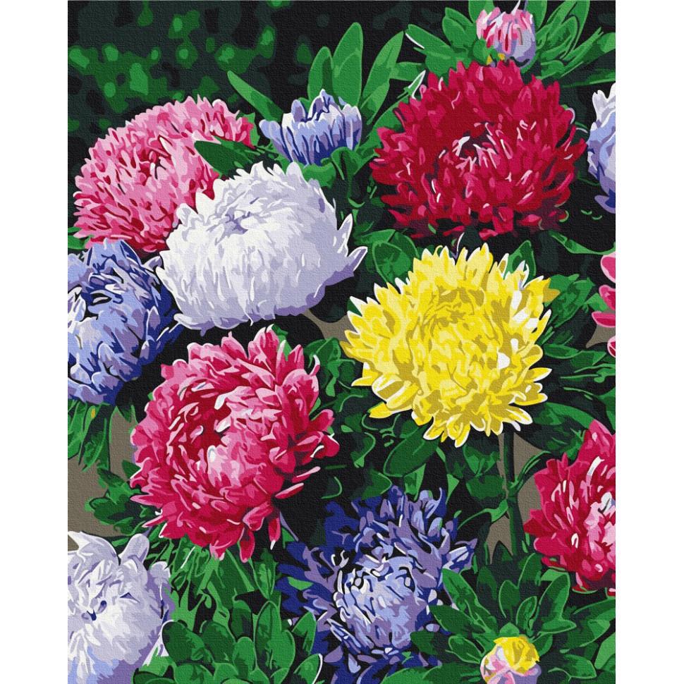Картина за номерами Brushme Різнобарвні айстри BS54120 40х50 см (RLT56104)