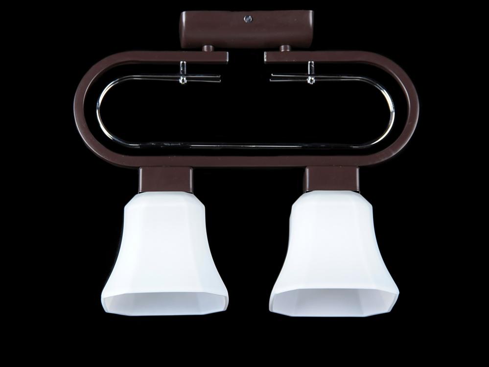 Люстра с плафонами Ray L0197/2 CR (IR006025)