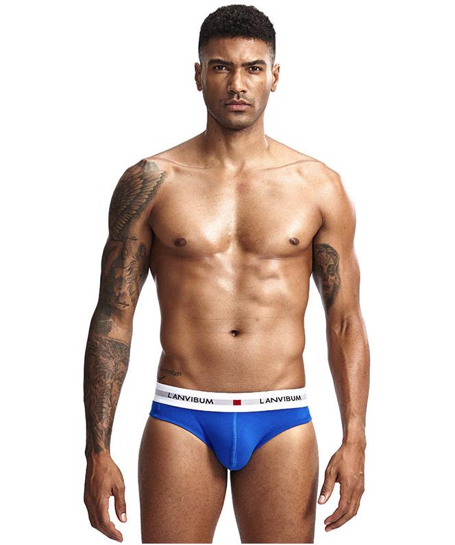 Трусы Lanvibum L Синий (5543)