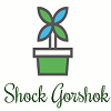 Shock Gorshok