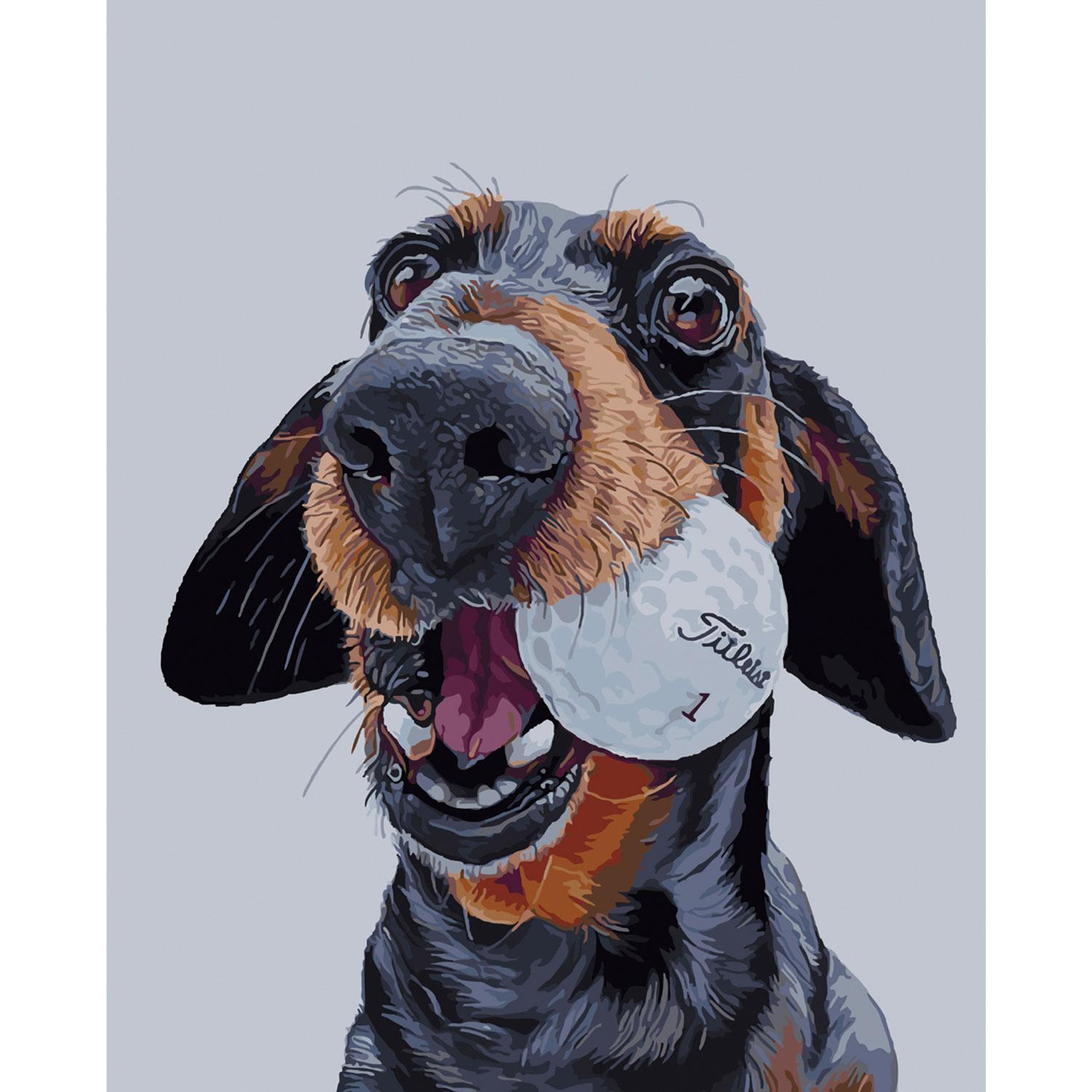 Картина по номерам Strateg Пес-бейсболист 40х50 см (SY6127)