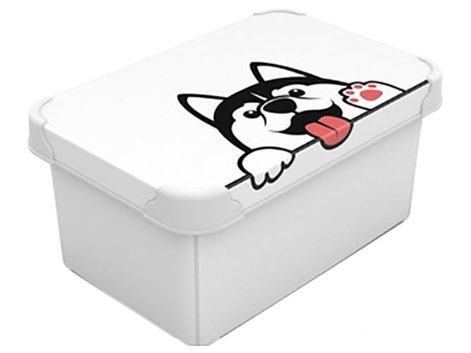 Контейнер с крышкой Qutu Style Box 5 л Pet (MLM-STYLE-BOX-S-K-PET-5L_)