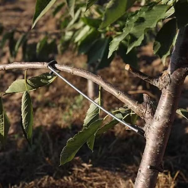 Фіксатори для гілок дерев M00655-2 з гумовим покриттям 26 см 10 шт. - фото 6