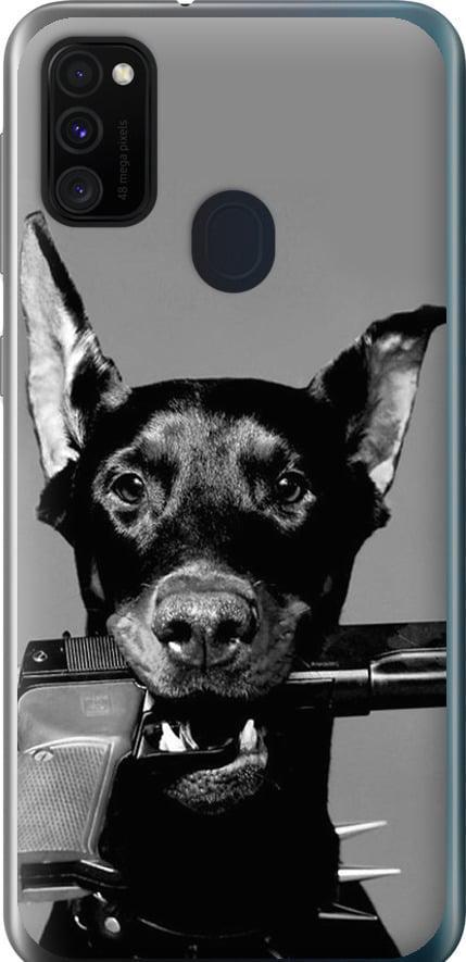 Чехол на Samsung Galaxy M30s 2019 Доберман (2745t-1774-42517) Чехол на Samsung Galaxy M30s 2019 Доберман (2745t-1774-42517)