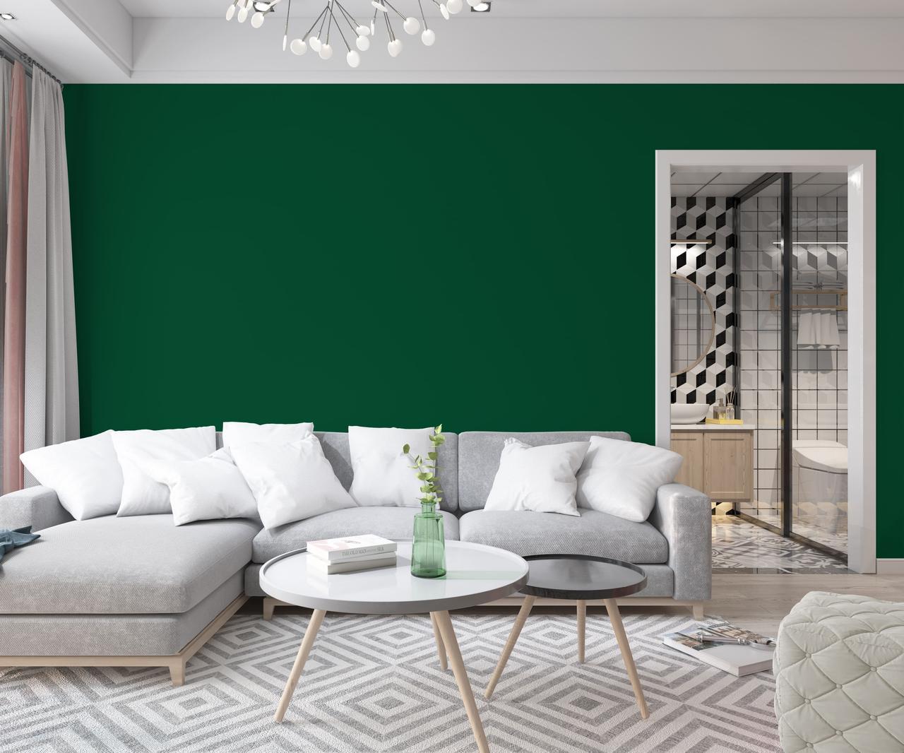 Краска интерьерная латексная Skyline 5540-G20Y (C) 5 л Изумруд (650c0cca4bc23147a0718a95) - фото 3