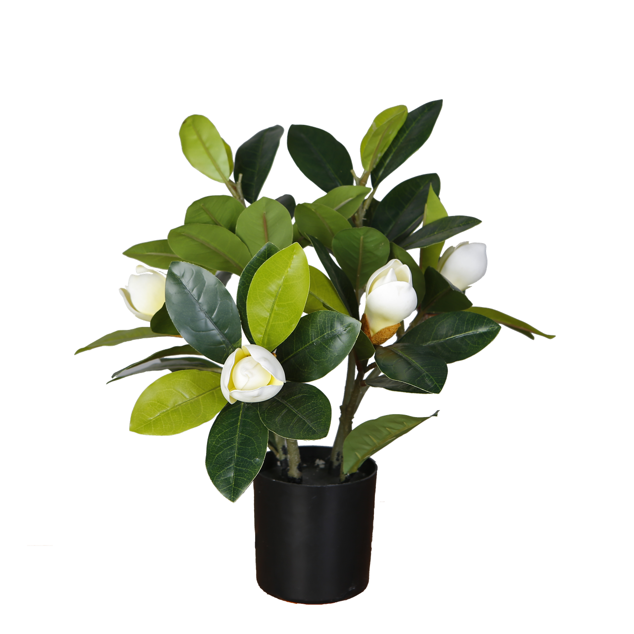 Искусственное растение Engard Magnolia 40 см (DW-16)