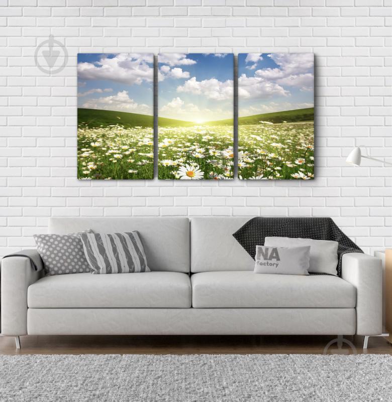 Модульна картина Poster-land Полі Ромашки Аrt-170_3А