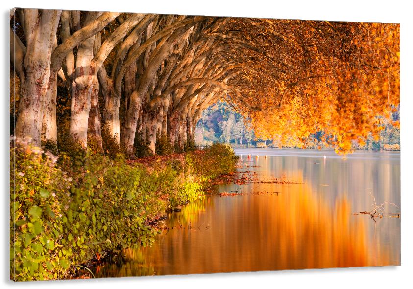 Картина на холсте в гостиную/спальню Природа 90х180 см (MLP_69)