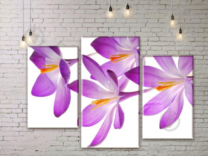 Модульная картина ArtStar цветы Крокусы ADFL0059 размер 70 х 105 см