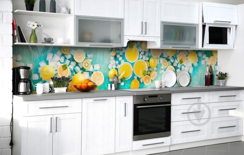 Скинали на кухню Zatarga «Цитрусовый лёд» 650х2500 мм виниловая 3Д наклейка кухонный фартук самоклеящаяся Скинали на кухню Zatarga «Цитрусовый лёд» 650х2500 мм виниловая 3Д наклейка кухонный фартук самоклеящаяся