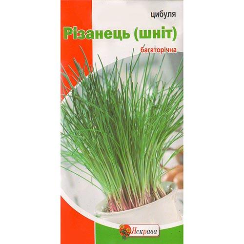 Насіння Цибуля Florium Різанець шніт (12314) - фото 2 Насіння Цибуля Florium Різанець шніт (12314) - фото 2