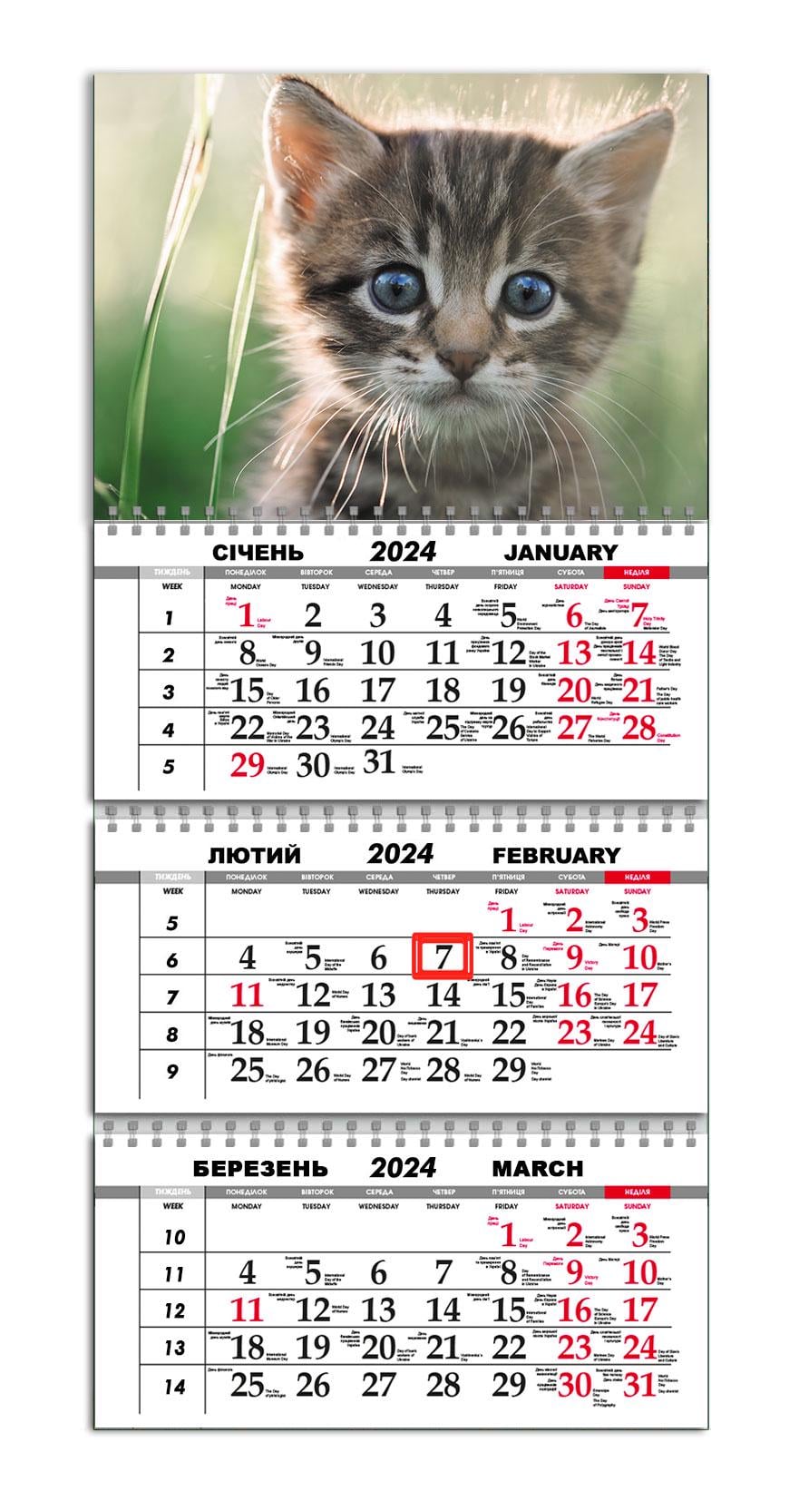 Календарь квартальный на 2024 год APRIORI Кот/Природа/Made in Ukraine 30х61 см (UA2152) Календарь квартальный на 2024 год APRIORI Кот/Природа/Made in Ukraine 30х61 см (UA2152)