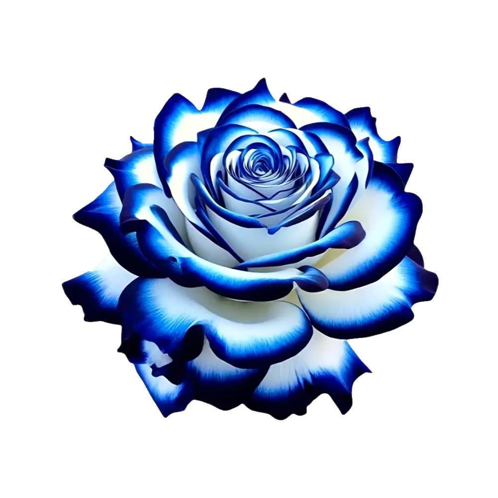 Наклейка декоративна Троянда для автомобіля/мотоцикла/техніки 13x14 см Синьо-білий (3000003746)