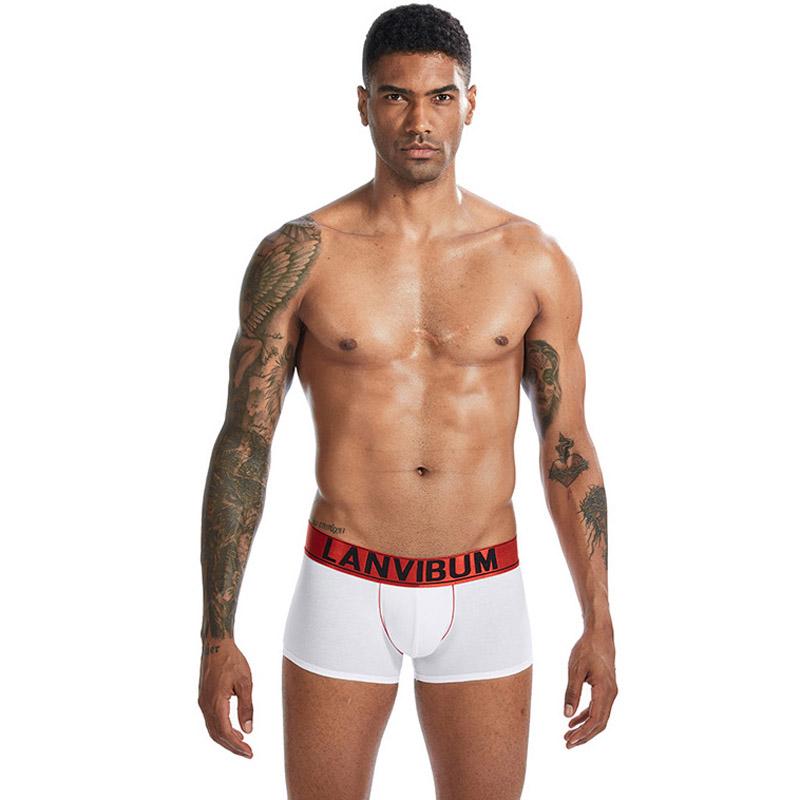Комплект мужских трусов Lanvibum M 6 шт. Разноцветный (7670)