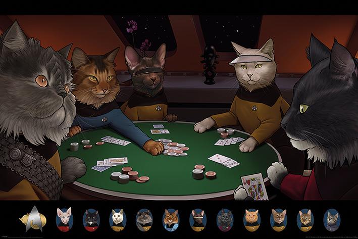 Постер плакат Звездный Путь Кошки Покер/Star Trek Cats Poker 61x91,5 см