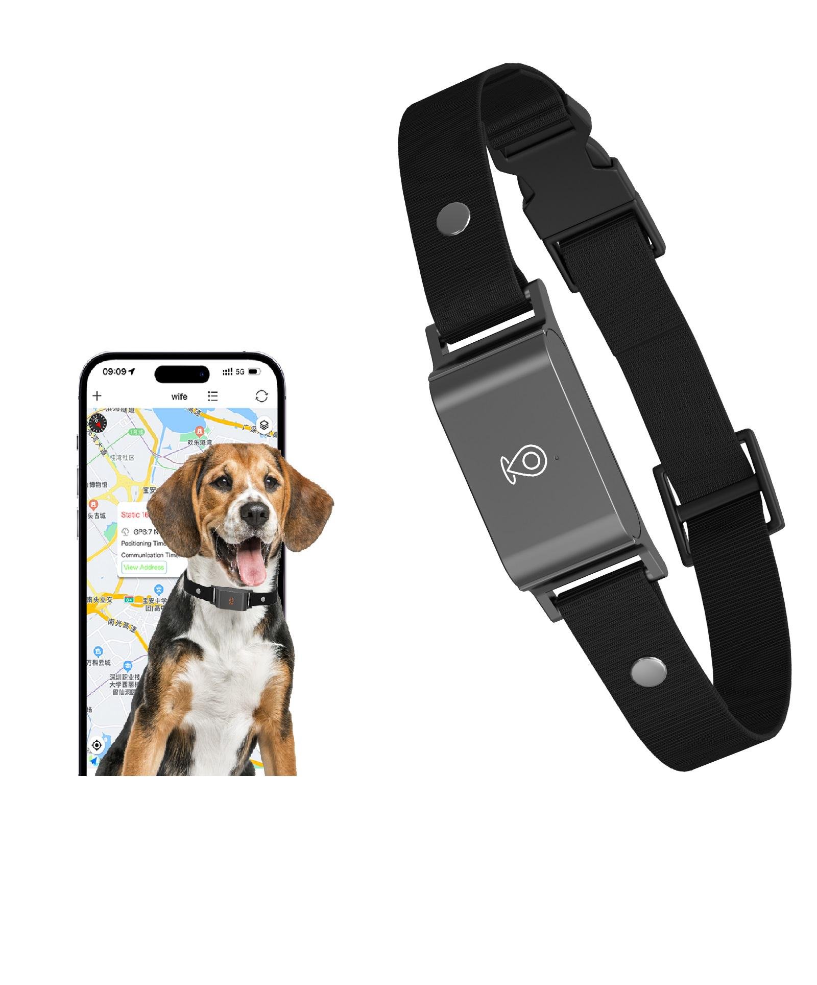 Ошейник для собак и кошек LT С09 GPS водонепроницаемый/Sim-карта Оrange - фото 7 Ошейник для собак и кошек LT С09 GPS водонепроницаемый/Sim-карта Оrange - фото 7